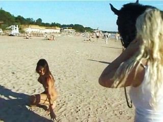 Naked Teen Riding A Horse At The Beach Turns Heads