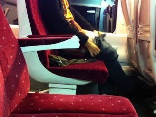 Jerk On Train