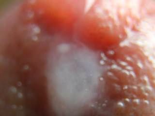 Extreme Close Up Cock Cumming